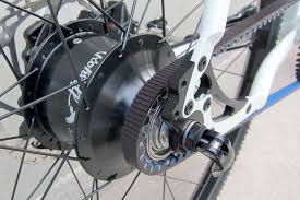 Rohloff + Gates.jpg