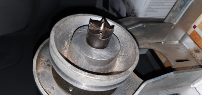 Tady je povolený trn