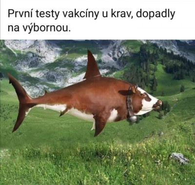 vakcina.jpg