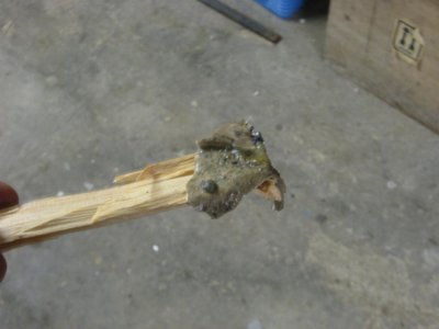 IMG_3003 (Large).JPG