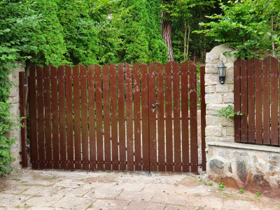 Resize of 20210819_133049.jpg