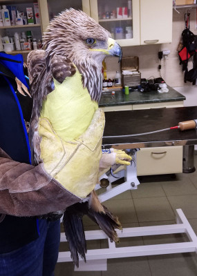 Pacient po operácii  :)