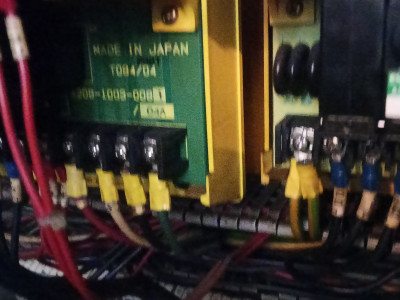 IMG20250313063031 (1).jpg