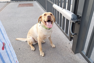 Image6889921429175621499.jpg (715.58 KiB) Zobrazeno 3106 x Foceno včera :)