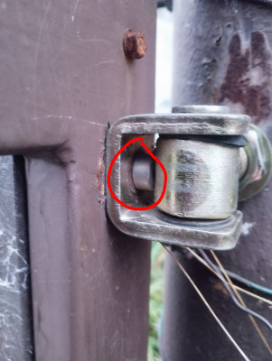 IMG_20251016_180513655 (1).jpg