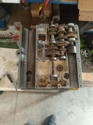 0a2d635c-eb40-43d3-860c-27376fca82e8.jpg