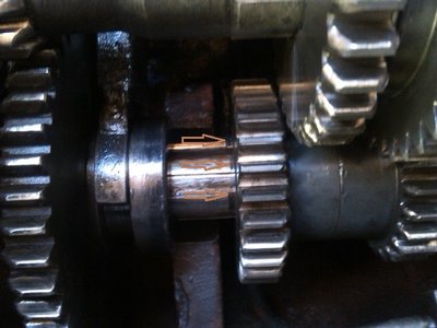 drazka pro segerovku.jpg