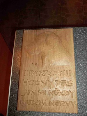 125_0075_1.jpg (551.12 KiB) Zobrazeno 5886 x Pes podle fotky, SW Aspire