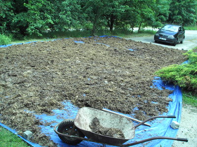 PICT1191.JPG (2.99 MiB) Zobrazeno 26443 x sušení koňského hnoje