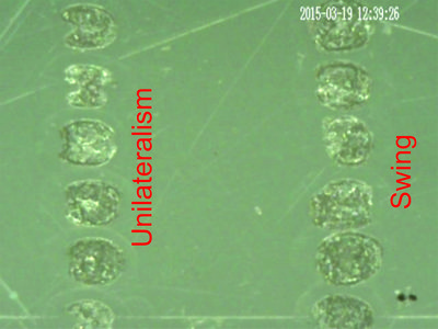 20150319123926.jpg (2.48 MiB) Zobrazeno 6673 x S korekcí