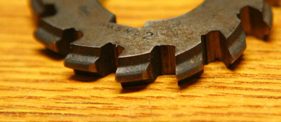 detail zubu té saméč.1.