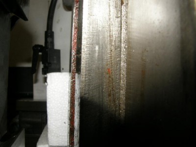 Rybina krompáčová.JPG