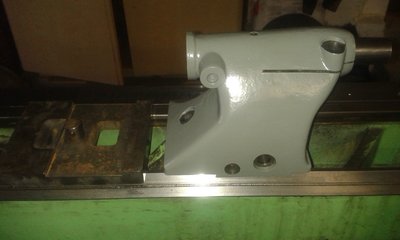 Konik v original barvě