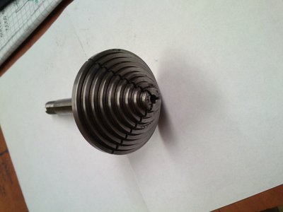 vnější kleština.jpg