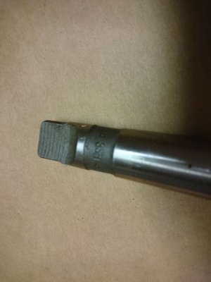 zahlubnik uhlovy 2 .jpg