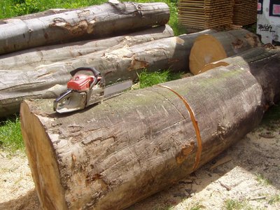 zaklad palicky.jpg (583.12 KiB) Zobrazeno 13256 x zaklad palicky.jpg